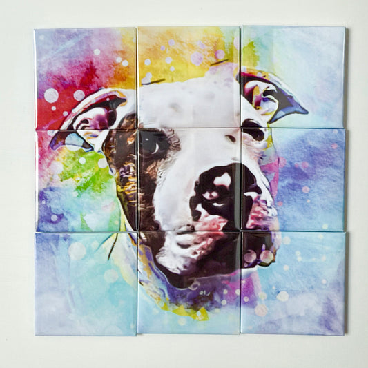 9-Piece Photo Magnet Puzzle
